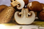 Houby v české kuchyni: od kulajdy po rizoto