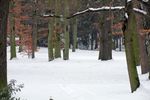 Trénink v zimě ve Stromovce