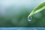 Voda - elixír života a co jste o ní možná nevěděli